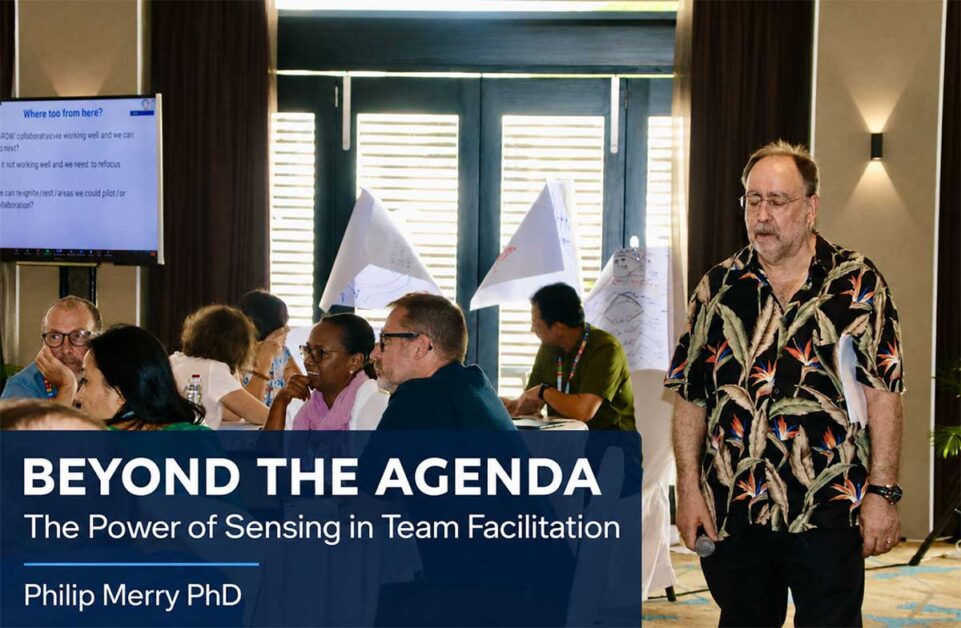 Beyond the Agenda: Mastery of “Sensing” in Team Facilitation