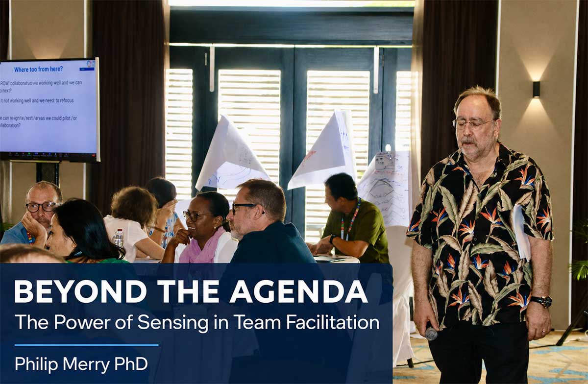 Beyond the Agenda: Mastery of “Sensing” in Team Facilitation